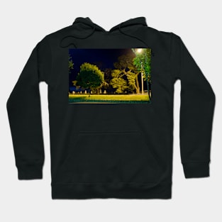 Night Scape II Hoodie